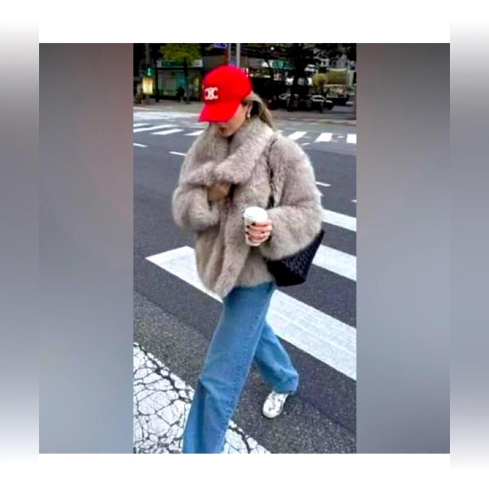 ZARA Coat